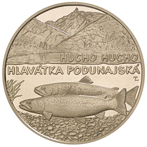 Samec mrenky vláknoplutvej s predĺženou chrbtovou plutvou
