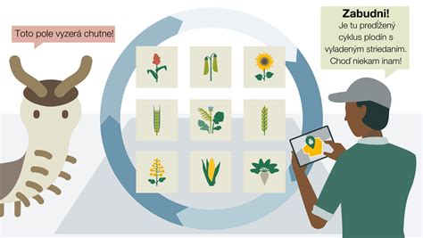 Schéma striedania plodín