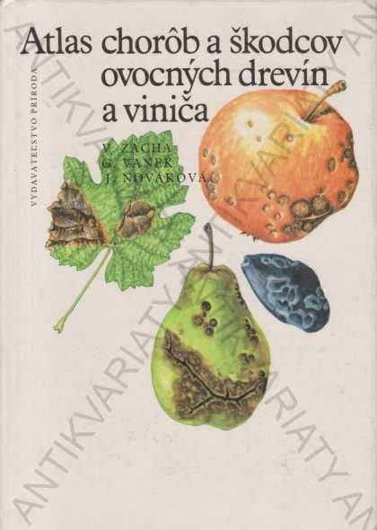 Ilustrácia bežných škodcov na azalkách