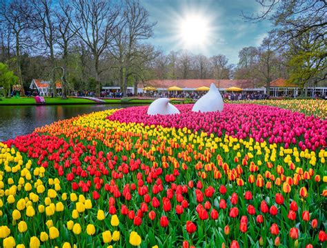 Vstup do parku Keukenhof s kvetinovými záhonmi