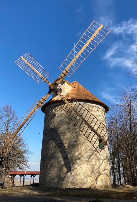 Veterný mlyn v Keukenhofe s tulipánovými poľami