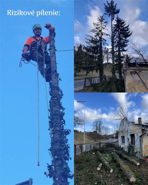 Odstránenie nadbytočných konárov a redukcia zelenej hmoty