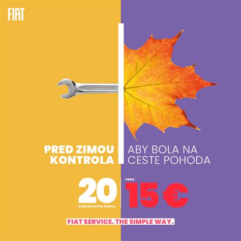 Infografika: Jesenná a zimná starostlivosť o bambus