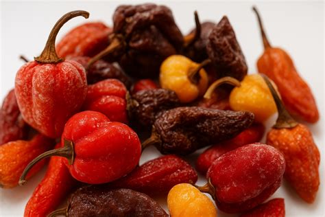 Rôzne spôsoby spracovania chilli papričiek
