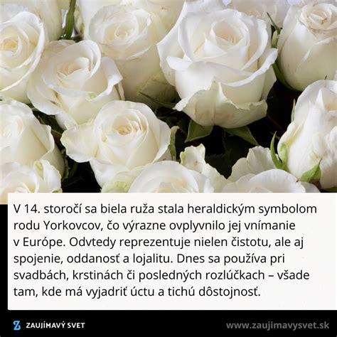 Ruže ako symbol elegancie