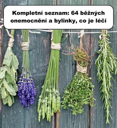 Ilustrácia bežných ochorení orchideí