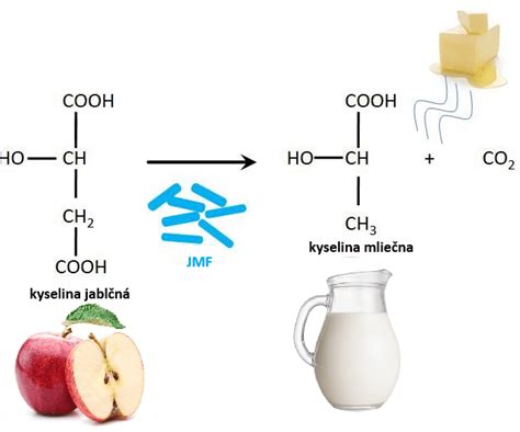Fermentácia substrátu
