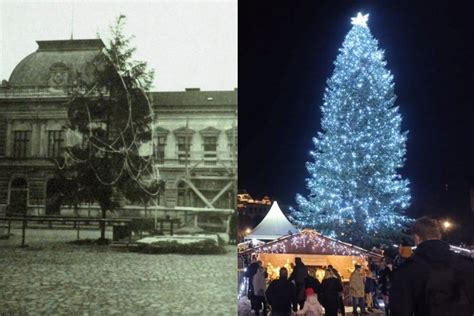 História vianočného stromčeka