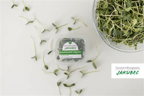 čerstvé microgreens na parapete