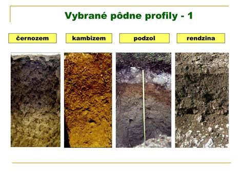 Druhy pôdy v priereze