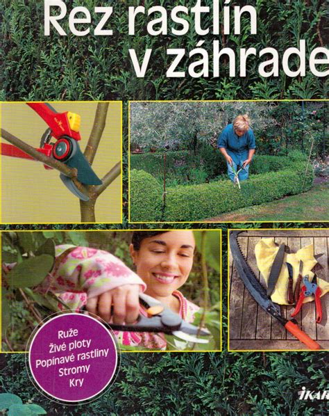 Schéma vzájomnej podpory rastlín v záhrade