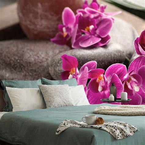 Nádherná kvitnúca orchidea v interiéri