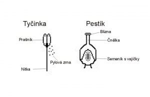 Detail výroby pestíku a tyčiniek látkového kvetu