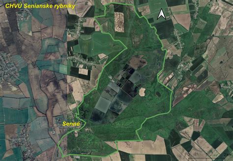 Mapa s pôvodom bambusových druhov