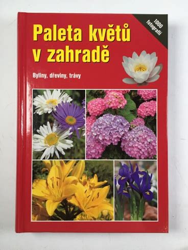 Ilustrácia neznámeho kvetu v záhrade