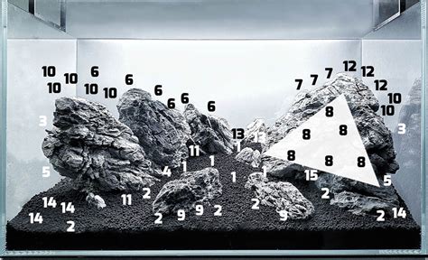 Rozmiestnenie rastlín v akváriu podľa ich výšky a funkcie