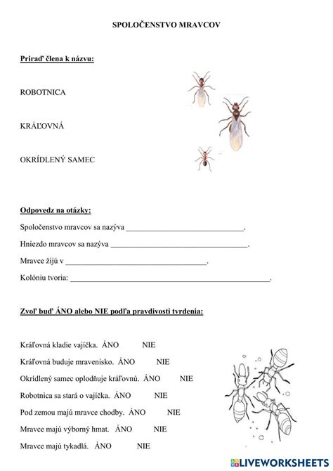 Ilustrácia genetického klonovania mravcov