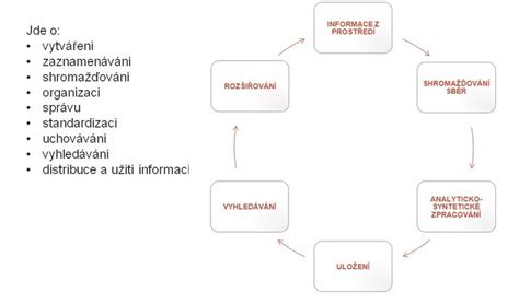 Schéma životného cyklu mravca