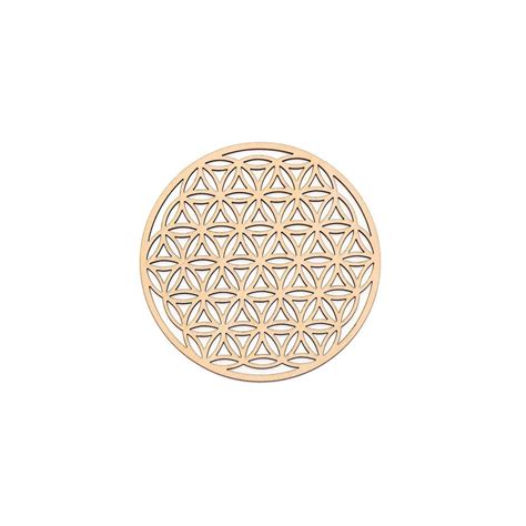 Vizualizácia posvätného vzoru Kvetu života