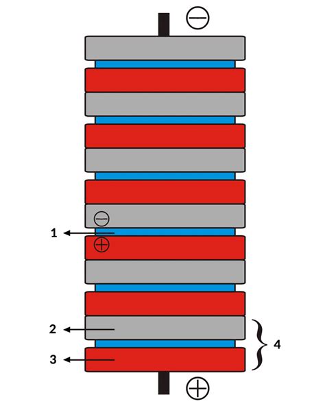 Schematické znázornenie kvetného diagramu