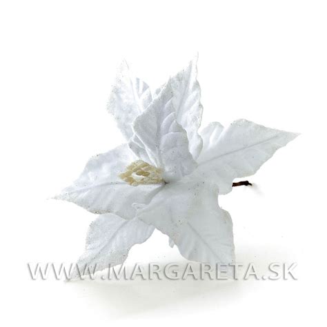 Biela vianočná ruža v kytici