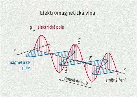 Grafické znázornenie cyklu svetla a tmy pre vianočnú ružu