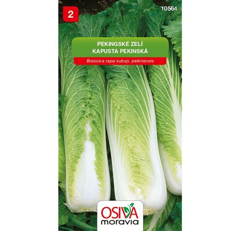 Pekinská kapusta na trhovisku