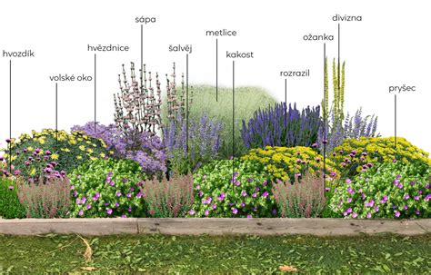 Schéma vrstvenej výsadby trvalkového záhona