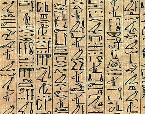 Egyptské hieroglyfy zobrazujúce aloe vera