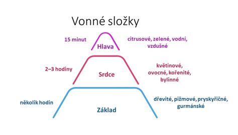 Schéma štruktúry parfumu: hlava, srdce, základ
