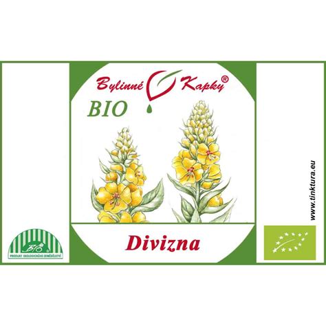 Štruktúra rastliny divozelu