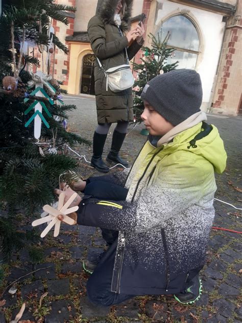 Presádzanie vianočného stromčeka na jar