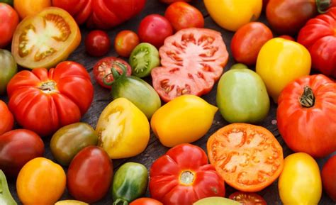 Rôzne odrody paradajok podľa farby a tvaru