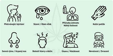 Príznaky alergie na ambróziu