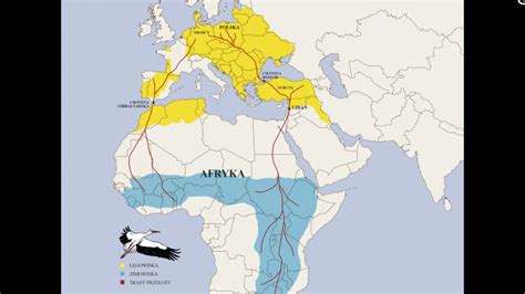 Mapa migrácie bociana bieleho