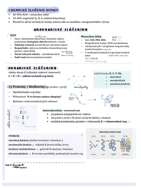Chemické zloženie echinacey