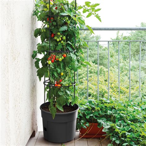 Schéma kvetináča TOMATO GROWER s vyznačenými časťami