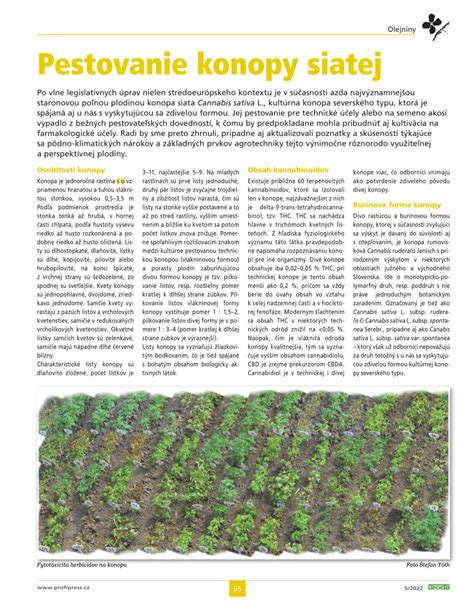 Rastlina konopy siatej