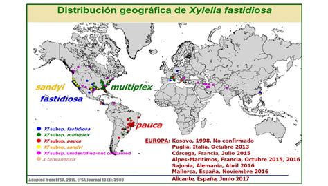 Mapa rozšírenia Xylella fastidiosa
