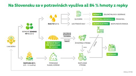 Infografika správneho pomeru živín pre paradajky