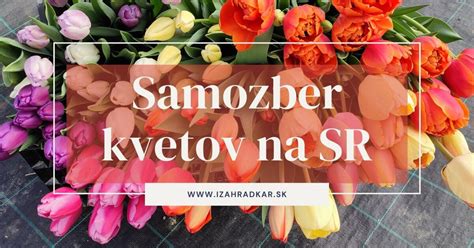 Rôznorodosť jarných kvetov