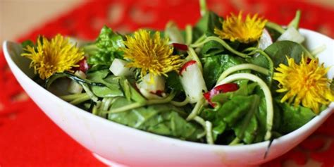 Koláž rôznych jedál pripravených z púpavy