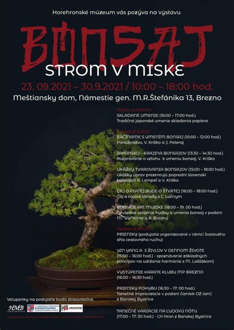 Strom bonsaj v miske