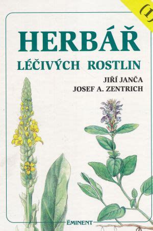 Ilustrácia zberu a sušenia bylín