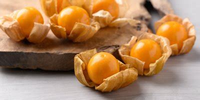 Zrelé plody physalis v ich papierových kalichoch