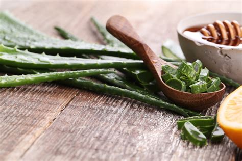 Schéma: Ako Aloe Vera posilňuje imunitu