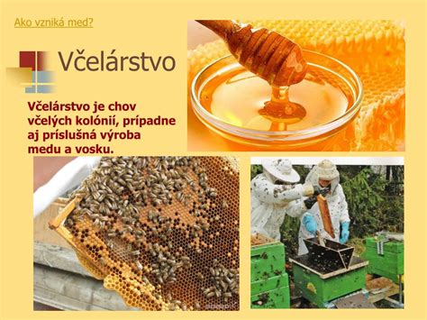 Rozloženie úloh vo včelstve (matka, robotnice, trúdy)