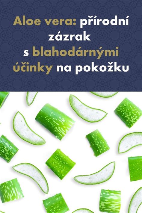 Účinky propolisu a aloe vera na pokožku