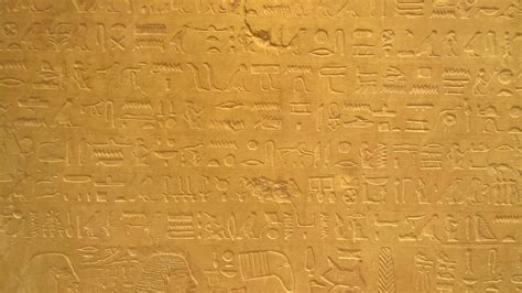 Hieroglyfy s lotosovým kvetom