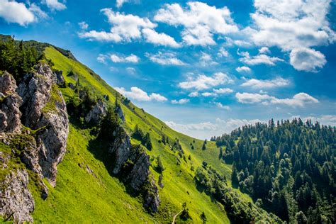 Súčasné polia technickej konopy na Slovensku
